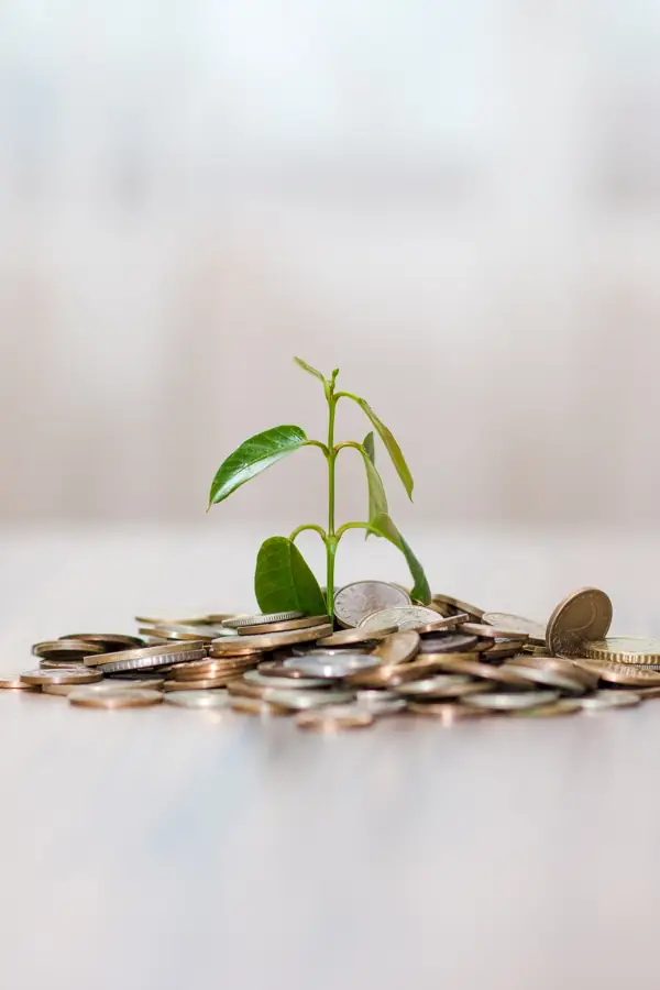 Seedling growing out of a pile of coins